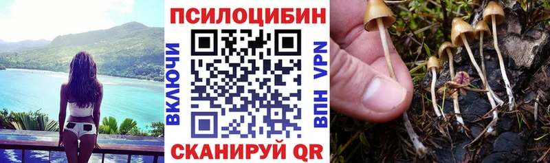 Псилоцибиновые грибы Cubensis  Купить закладки  Невинномысск 